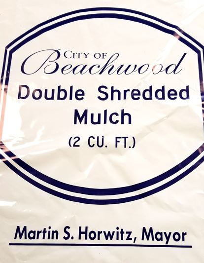 Image of a Beachwood bag of much